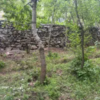 باغ دره مرادبیگ