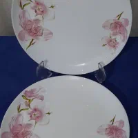 ظروف پذیرایی