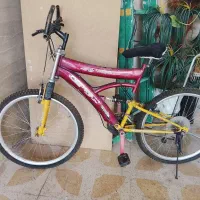 دوچرخه سالم تابستانی