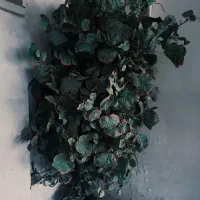 درختچه ی مصنوعی