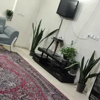 اجاره روزانه/هفتگی/ آپارتمان ۴۰۰ متری در اطلسی|اجارهٔ کوتاه‌مدت آپارتمان و سوئیت|شیراز, حر|دیوار
