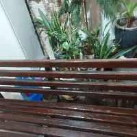 نمیکت فروش فووری