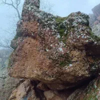 راهنمایی شغل آنلاین