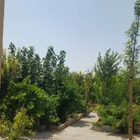 فروش باغچه