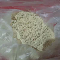 گرده نخل جنوب
