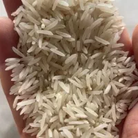 فجر حیدری مازندران