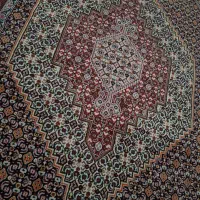 قالی|فرش|سنندج, |دیوار