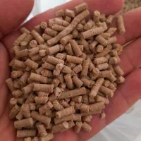 غذای شتر مرغ