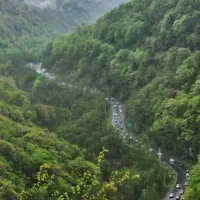 تور ویژه بانوان
