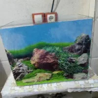 آکواریوم شیشه خم
