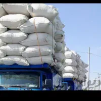 کاه گندم