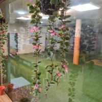 استخدام منشی آموزشگاه علمی