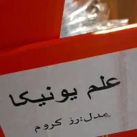 دوش حمام مدل رز کروم