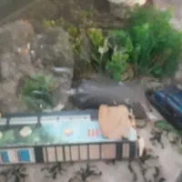 اکواریوم