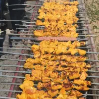 تفریح خانوادگی در مجتمع جنگلی حومه میبد-خضرآباد