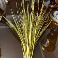 گل تزیینی