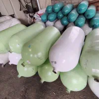 نصب کپسول گاز CNG به صورت اقساط و چک