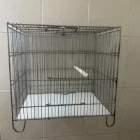 قفس