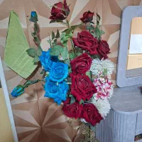 گل های رز قرمز آبی شکوفه صورتی ثعلبیان