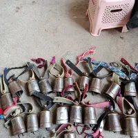 زنگوله