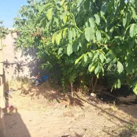 فروش یا اجاره. خانه ویلایی