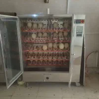 دستگاه جوجه کشی