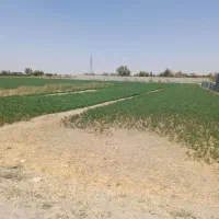 زمین باغی