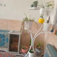 استند گل