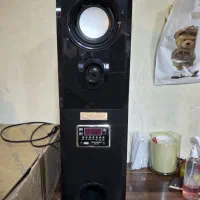 باند ونوس