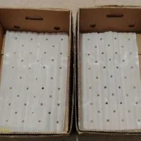 کارتن موز ووسائل کولر