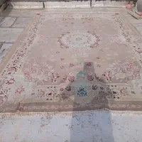 قالی|فرش|تربت جام, شهید نصرالهی|دیوار