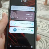 گوشی شیامی