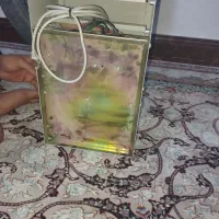 یو پی اس آسانسور