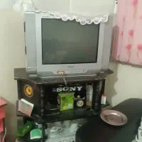 تلویزیون