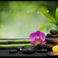 کتاب آموزش رفع کمردرد پادرد سیاتیک