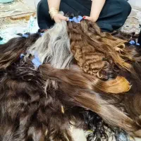 خریدار اصلی  موخام و رنگی