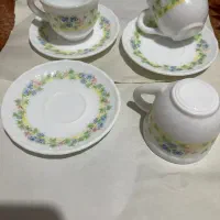 فنجان آرکوپال امارات