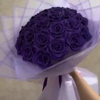 گل ارایی(رز ربانی)