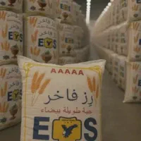 برنج