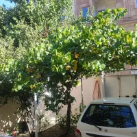 اجاره-خانه-ویلایی-200-متری