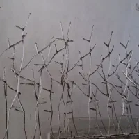 حفاظ شاخ گوزنی|مصالح و تجهیزات ساختمان|بروجرد, |دیوار