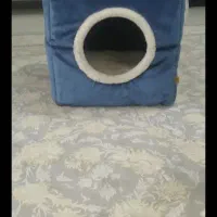 خونه سگ