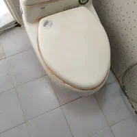 توالت فرنگی