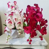 گلدان ارکیده