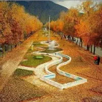 سوییت اجاره( دارای پارکینگ )