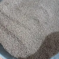 عدس دیم  بوجاری شده تمیز یک‌دست خوش پخت