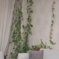 گل و گلدان