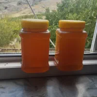 عسل طبیعی و درمانی داش زیوه