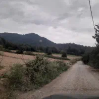 زمین-کشاورزی