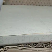 تشک دونفرع
